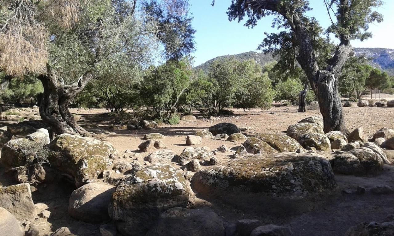 Il Sughereto Arbatax Exterior photo