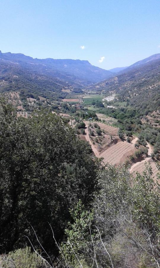 Il Sughereto Arbatax Exterior photo